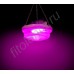 LED GROW светильник для теплиц, гроубоксов, оранжерей, зимних садов "Менкалиан" 150 Вт