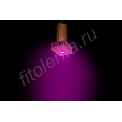 Полноспектровый 10Вт фитосветодиод на радиаторе LED grow light "Мерак"