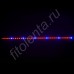 Фитолинейка на базе светодиодов SMD5630