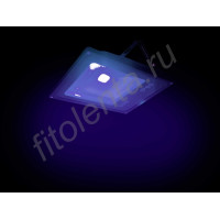 Прожектор с ультрафиолетовым свечением "Киссин УФ" 50Вт