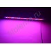 LED фито панель "Вега" 100Вт - 600Вт для культивирования растений в теплицах и гроубоксах